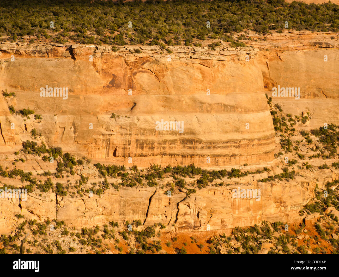 Colorado National Monument ist ein Teil des National Park Service in der Nähe der Stadt Grand Junction, Colorado. Spektakuläre Schluchten tief in Sandstein und Granit Gneis - Schiefer Felsformationen, in einigen Bereichen. Stockfoto
