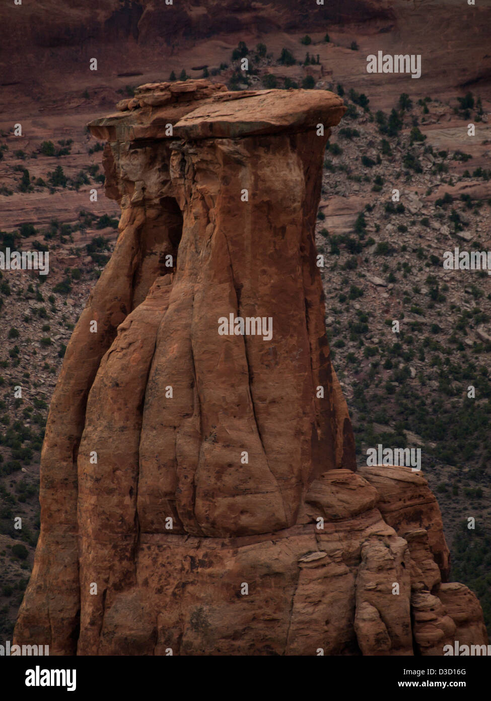 Colorado National Monument ist ein Teil des National Park Service in der Nähe der Stadt Grand Junction, Colorado. Spektakuläre Schluchten tief in Sandstein und Granit Gneis - Schiefer Felsformationen, in einigen Bereichen. Stockfoto