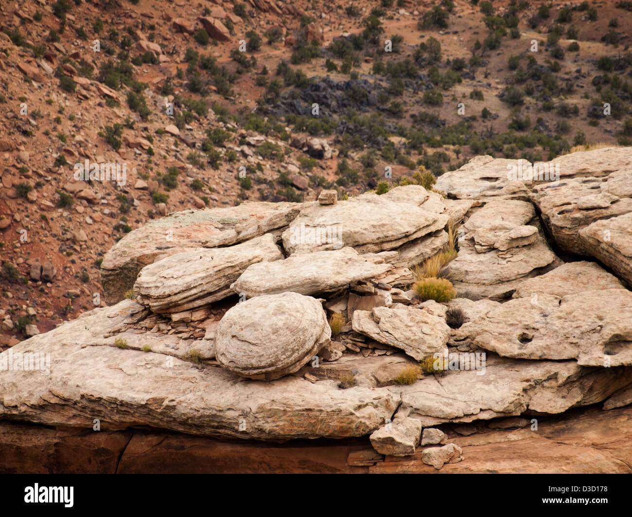 Colorado National Monument ist ein Teil des National Park Service in der Nähe der Stadt Grand Junction, Colorado. Spektakuläre Schluchten tief in Sandstein und Granit Gneis - Schiefer Felsformationen, in einigen Bereichen. Stockfoto
