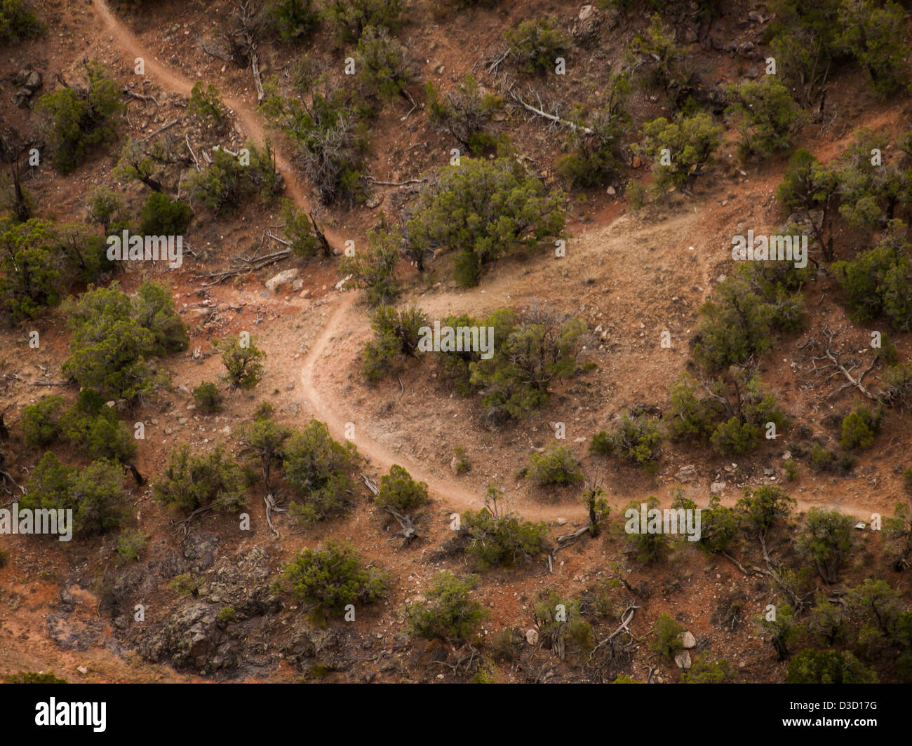 Colorado National Monument ist ein Teil des National Park Service in der Nähe der Stadt Grand Junction, Colorado. Spektakuläre Schluchten tief in Sandstein und Granit Gneis - Schiefer Felsformationen, in einigen Bereichen. Stockfoto