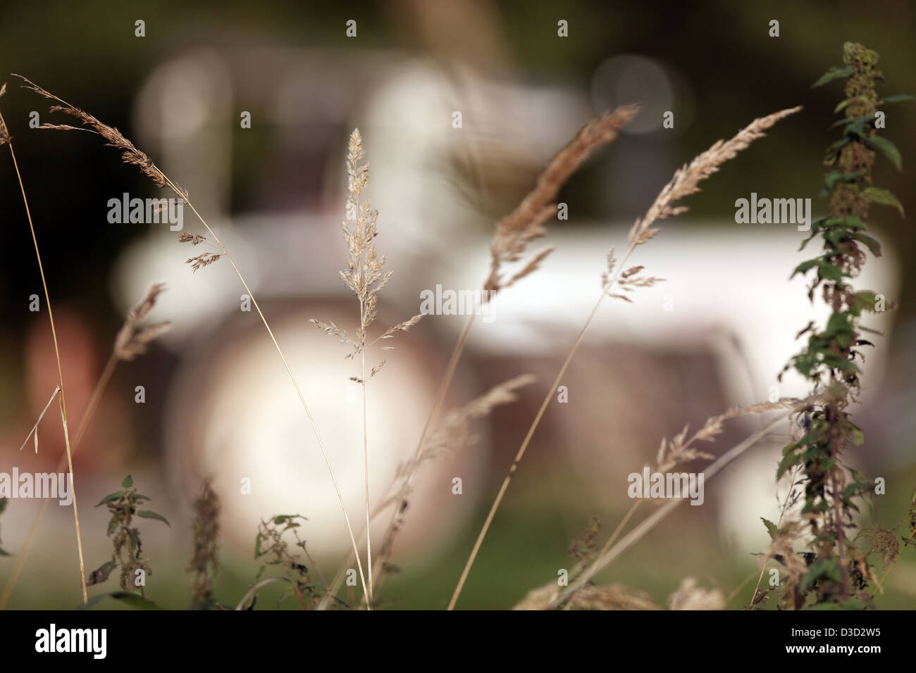 Strahlende Dorf, Deutschland, Symbol Foto Landwirtschaft Stockfoto