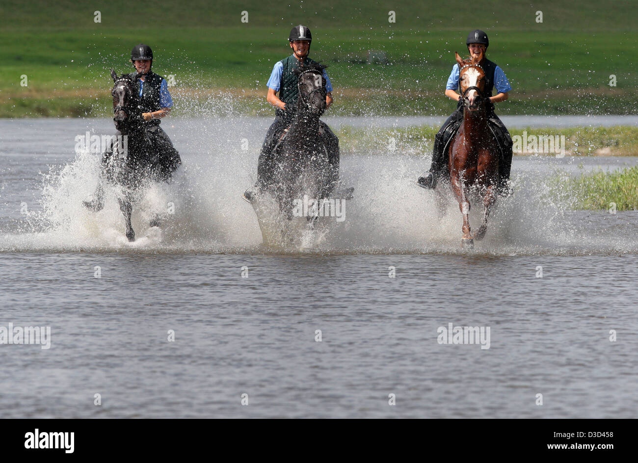 Reiter im Galopp durch das Wasser der Elbe Graditz Deutschland Stockfoto