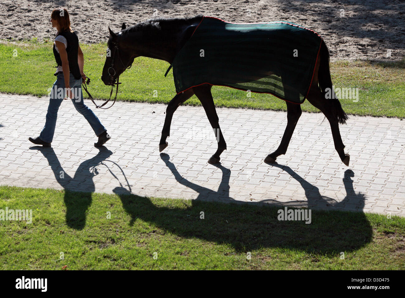 Gütersloh, Deutschland, führt Frau ihr Pferd Stockfoto