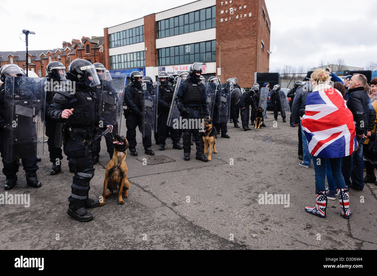 16. Februar 2013. Belfast, Nordirland.  Polizei bringen Sie Kampfhunde zu versuchen, eine Menge von Protestersf zu zerstreuen. Bildnachweis: Stephen Barnes/Alamy Live-Nachrichten Stockfoto