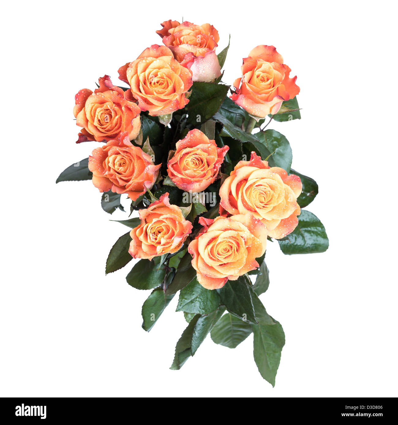 Bouquet von roten und gelben Rosen Blumen Draufsicht oben isoliert auf weißem Hintergrund Stockfoto