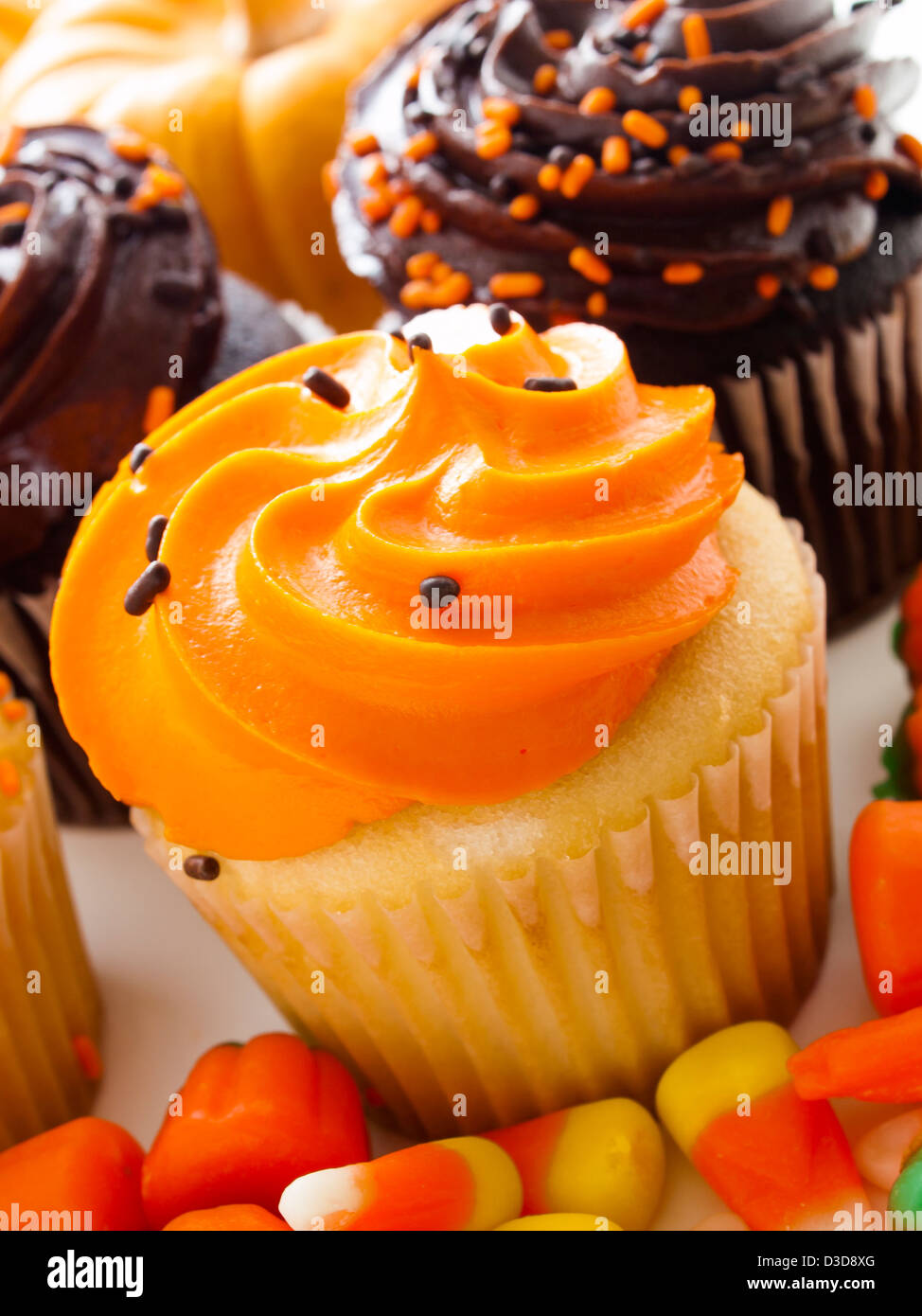 Halloween, orange und schwarz Cupcakes auf Hintergrund weißem. Stockfoto