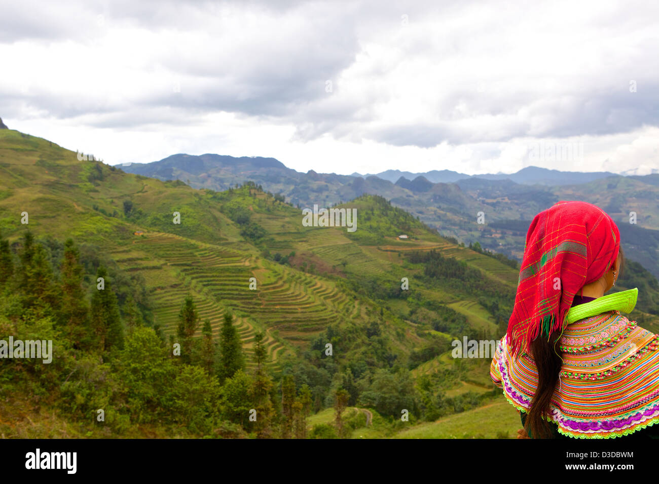 Vietnam, Lao Cai-Provinz. Flower Hmong-Minderheit Stockfoto