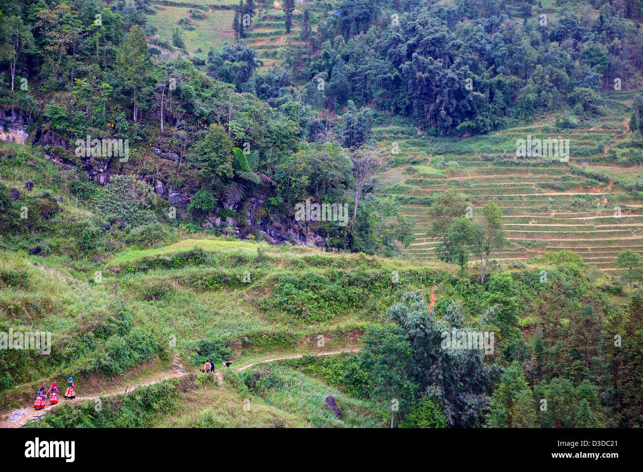 Landschaft von Cat Cat Dorf, Sapa, Lao Cai, Vietnam Stockfoto