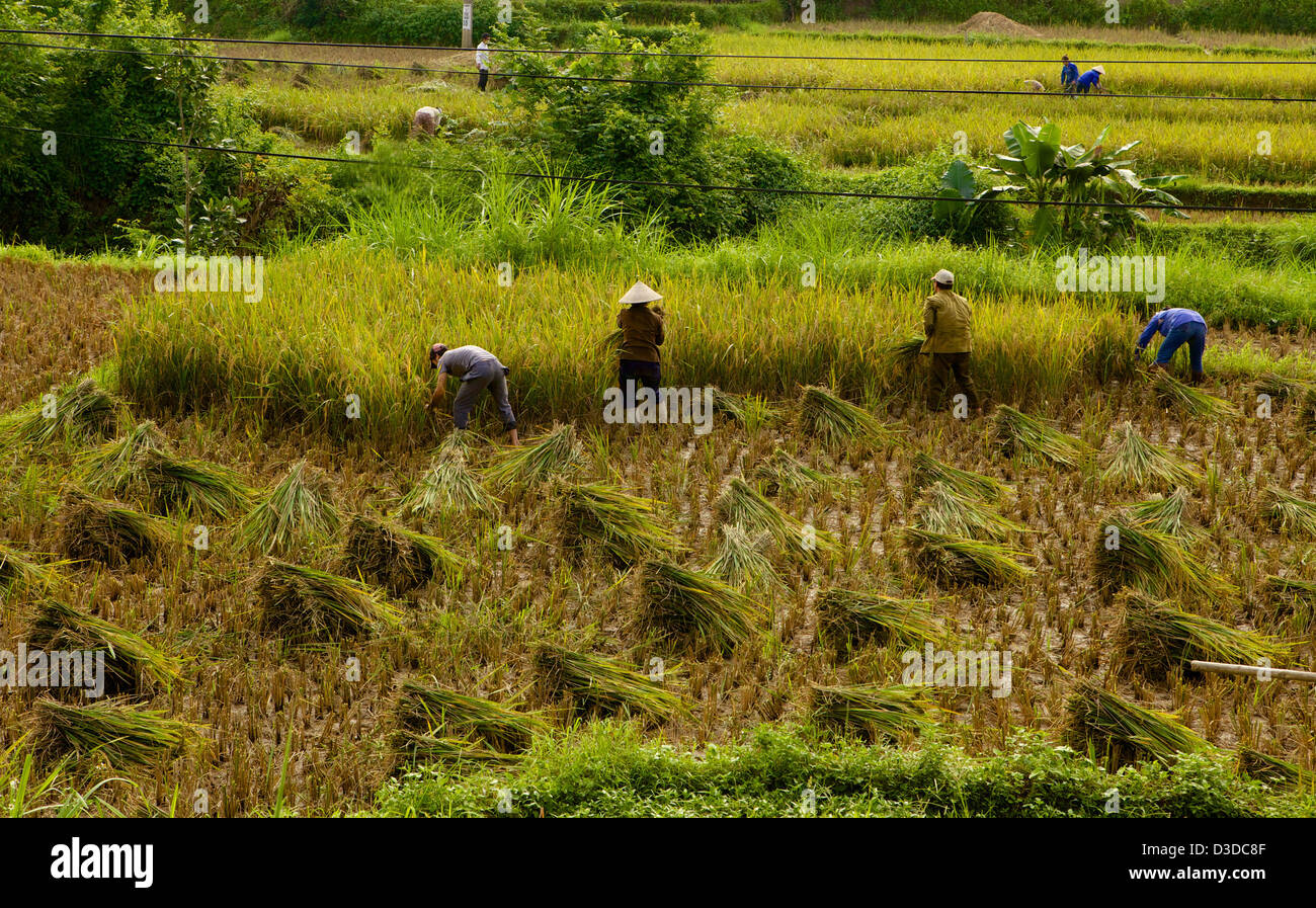 Landschaft von Cat Cat Dorf, Sapa, Lao Cai, Vietnam Stockfoto