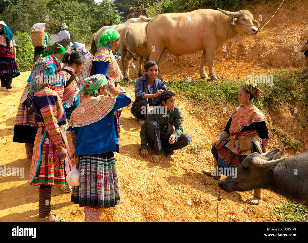 Vietnam, können Cau Markt. Flower Hmong-Minderheit Stockfoto