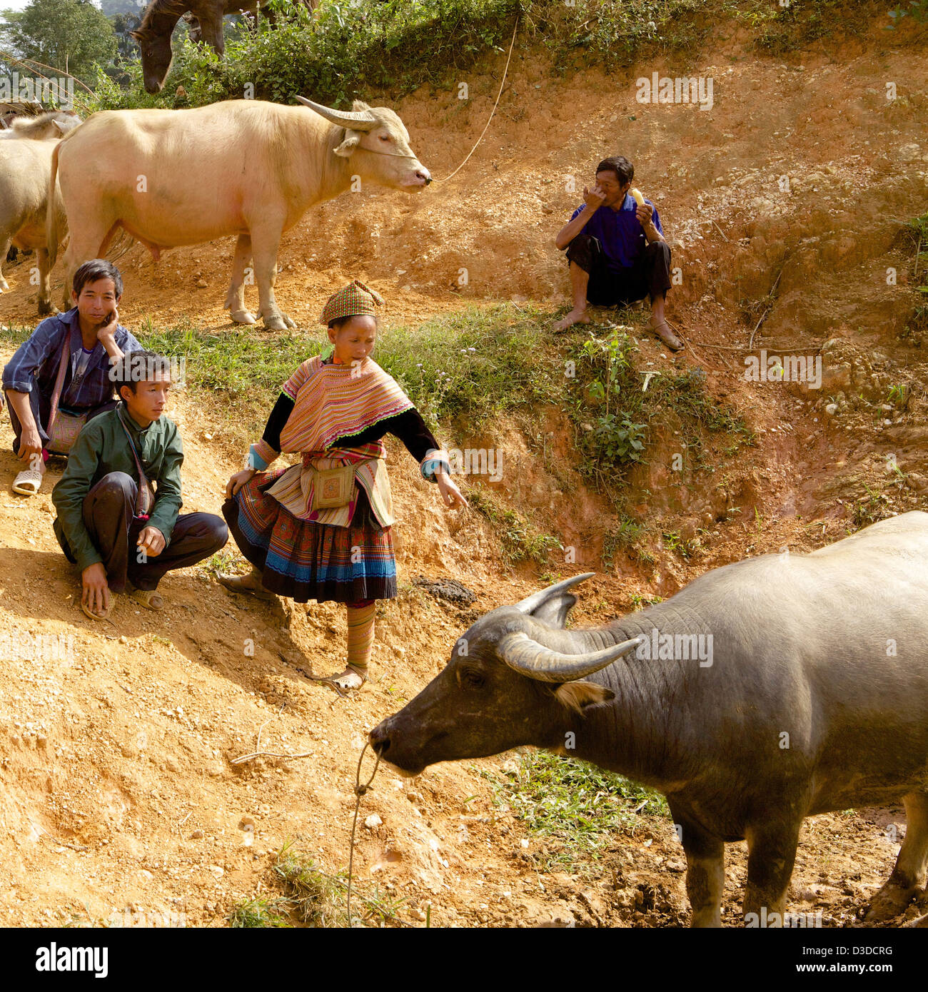 Vietnam, können Cau Market, Flower Hmong-Minderheit Stockfoto