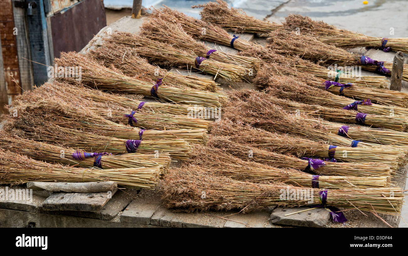 Indische Gras reed Bürsten auf der Rückseite eines Ochsenkarren in einem ländlichen indischen Dorf. Traditionelle indische Besen. Andhra Pradesh, Indien Stockfoto