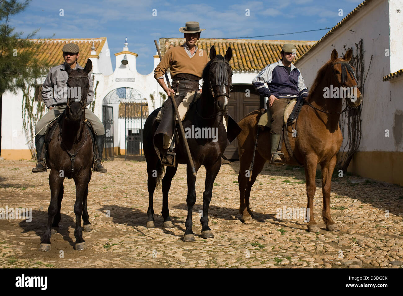 FINCA LA RUIZA, HUELVA, Spanien, 21. Februar 2008: Don Tomas Prieto De La Cal, 41, (Mitte) Sets aus mit zwei Cowboys, mit seiner Herde Kampfstiere, Kühe und Kälber zu arbeiten. Er züchtet einige der wildesten Stiere in Spanien. Stockfoto