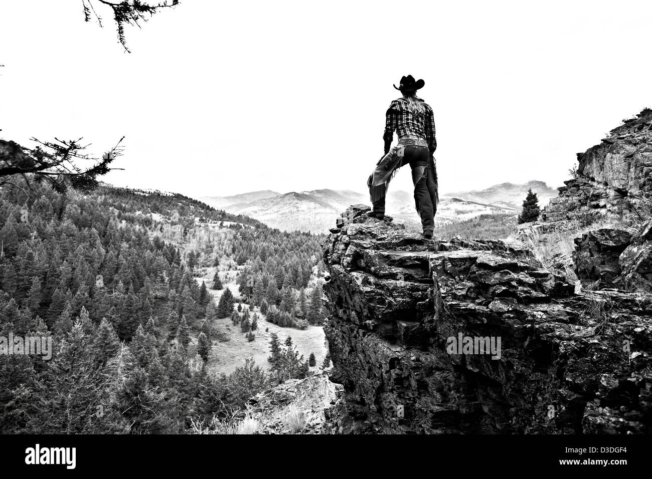Wrangler Vermessung Forstwirtschaft Blick von Schafen Rock, Montana, USA Stockfoto