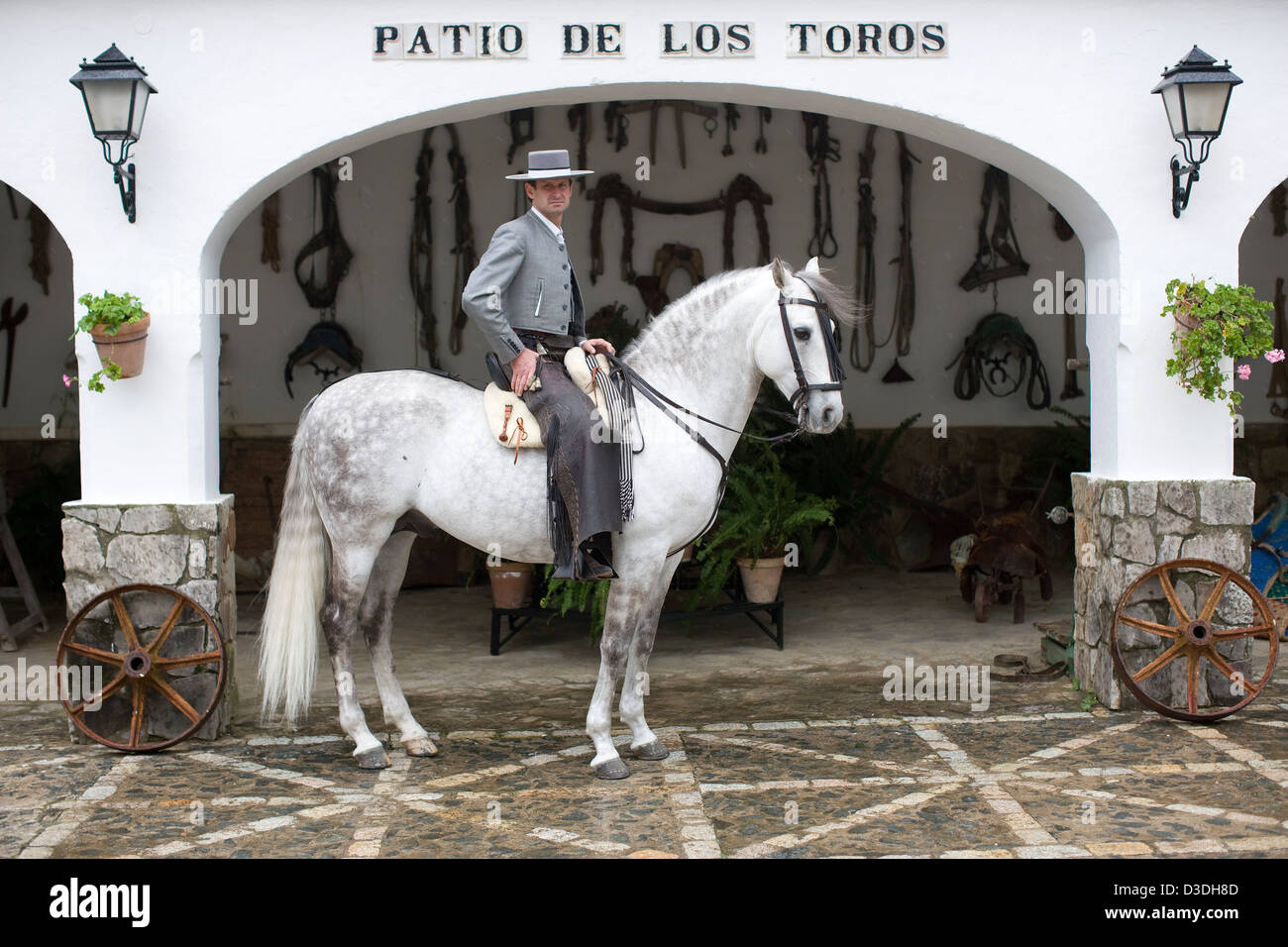 LOS ALBEREJOS FINCA, JEREZ DE LA FRONTERA, Spanien, 23. Februar 2008: Antonio Domecq, 37, ein professioneller Rejoneador oder Stierkämpfer zu Pferd, Tracht auf seinem Pferd Favoutite in den "Hof der Stiere" bei seinem Onkel Alvaro Domecq Ganaderia oder Bull Zuchtfarm genannt Torrestrella. Stockfoto