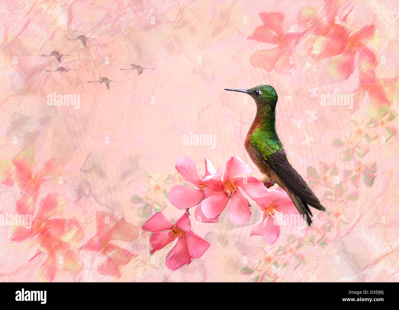 Primavera Rosa - Fotoart Kolibri und Blumen Stockfoto