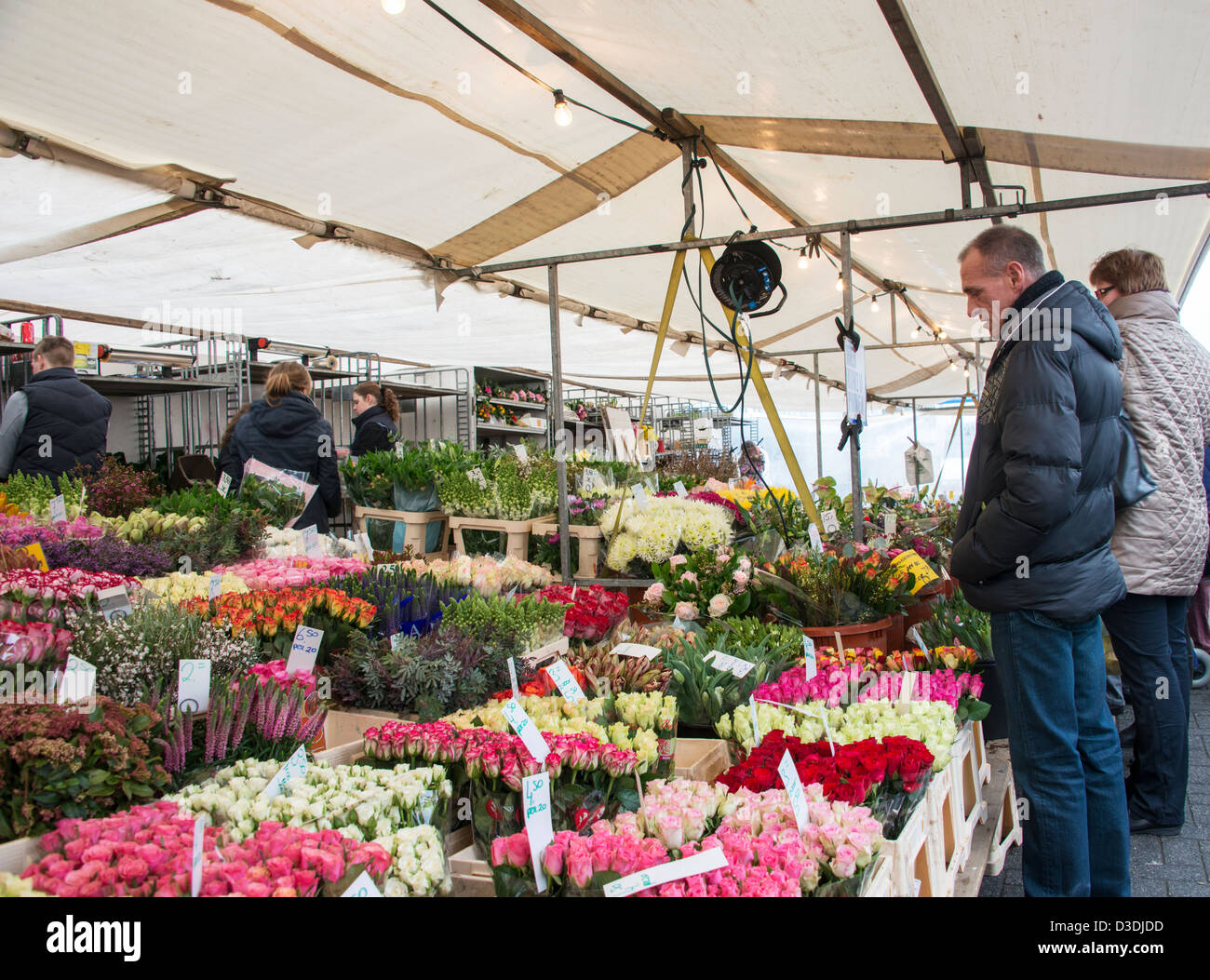 Menschen auf der Suche nach Blumen auf dem Markt in den Niederlanden Stockfoto