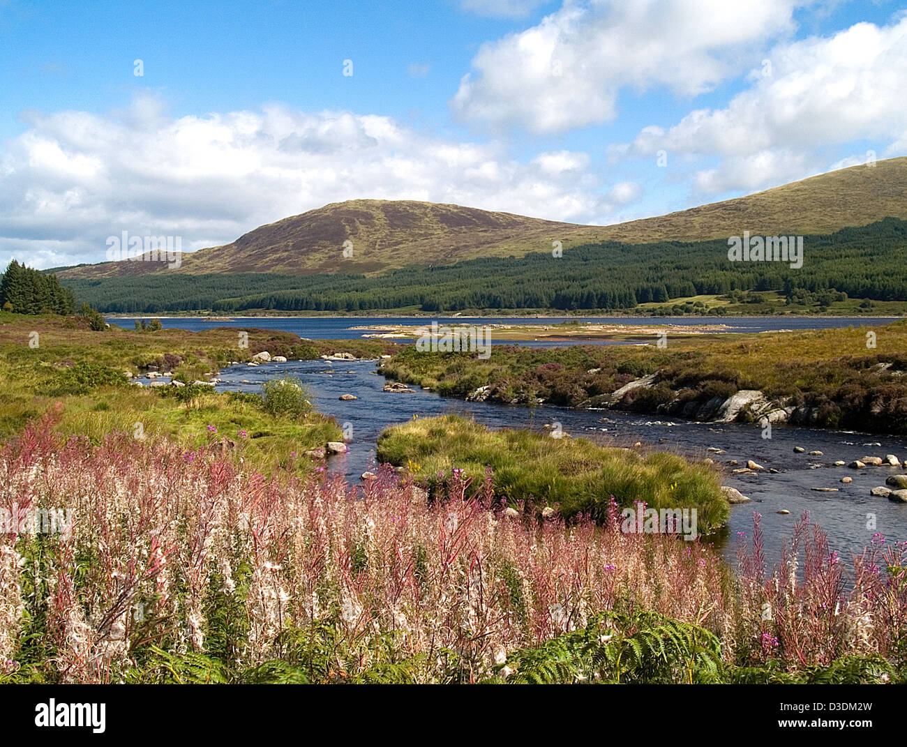 Loch Doon, Galloway Forrest Park Stockfoto