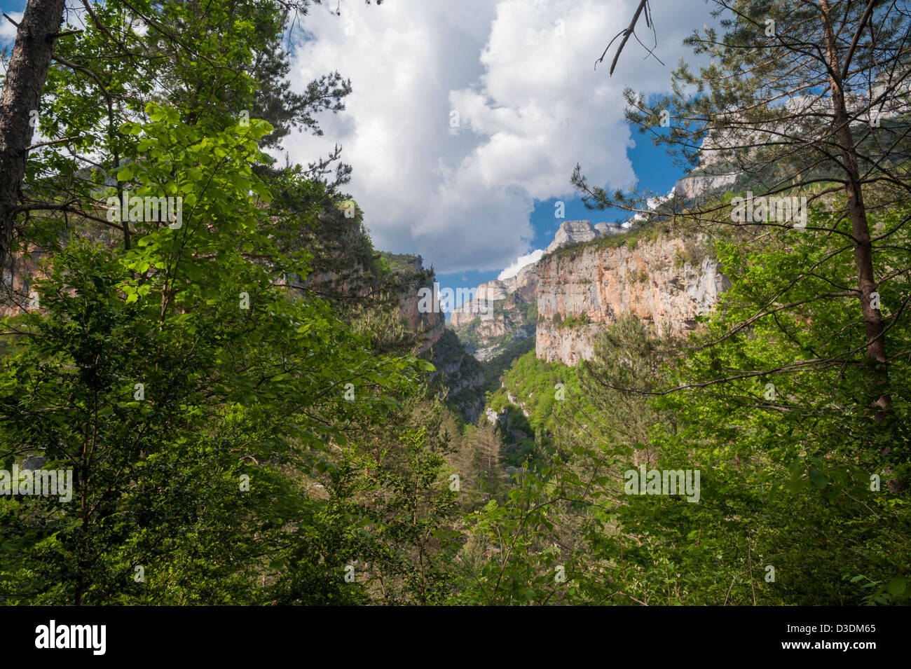 Die Anisclo-Schlucht. eine Kalkstein-Schlucht im Ordesa y Monte Perdidio Nationalpark, Huesca, Aragon, Spanien Stockfoto