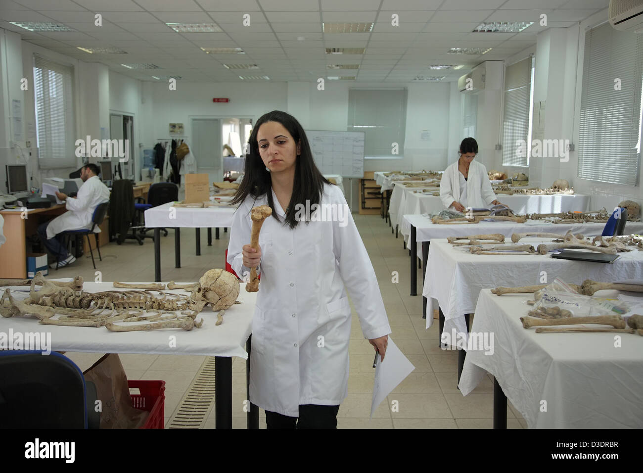 Weibliche Angestellte im Labor Anthropologie des Ausschusses für vermisste Personen in Zypern Stockfoto