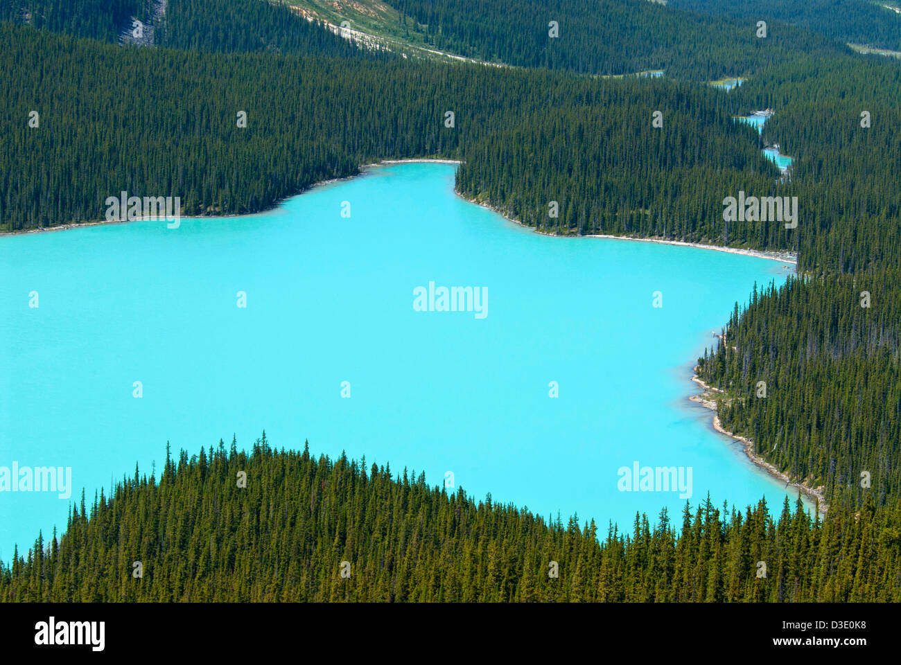 Peyto Lake, einem Gletscher gespeisten See in den kanadischen Rockies Stockfoto