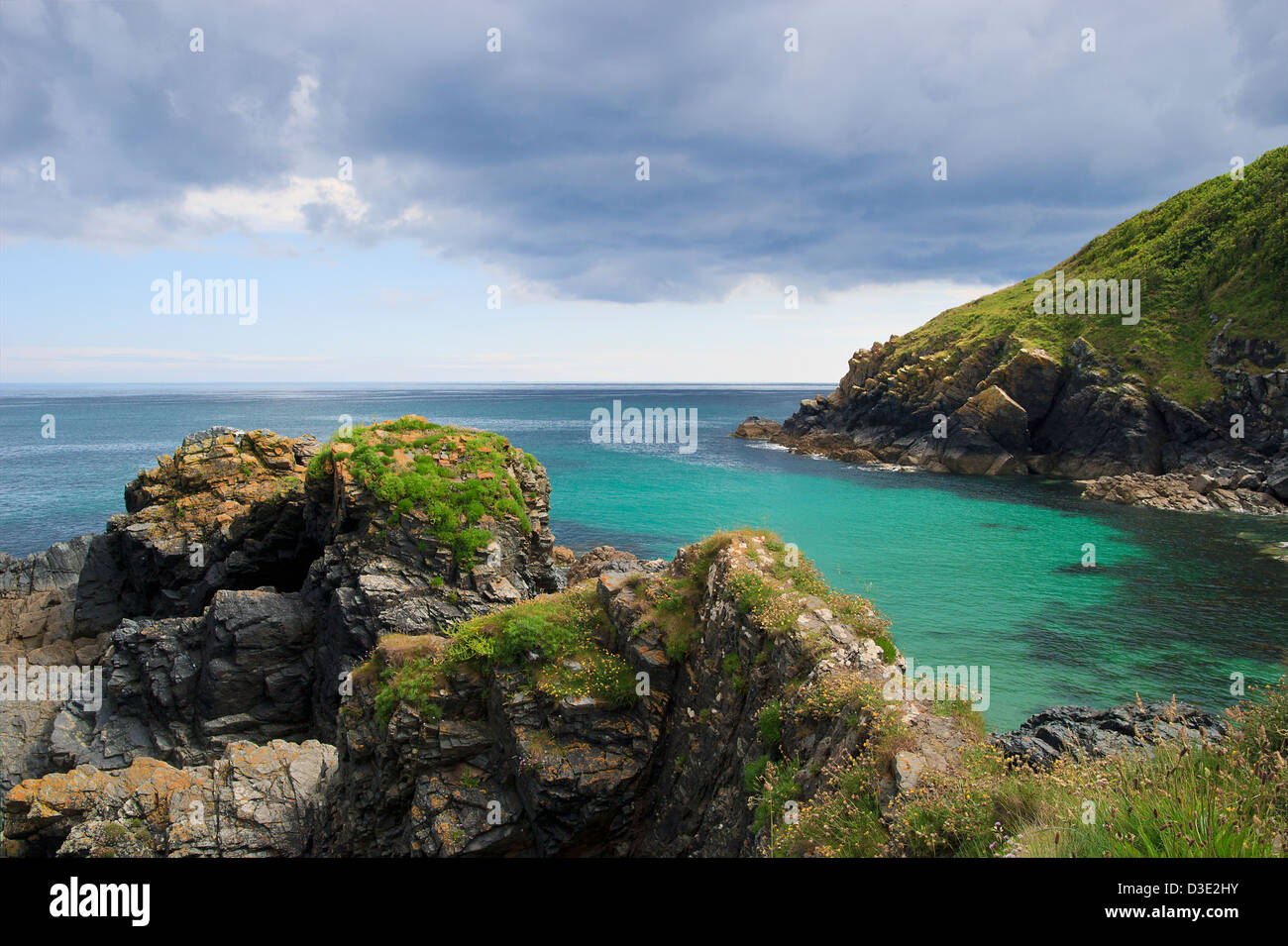 Zerklüftete Küste Cornwalls Cadgwith Eidechse Cornwall Stockfoto