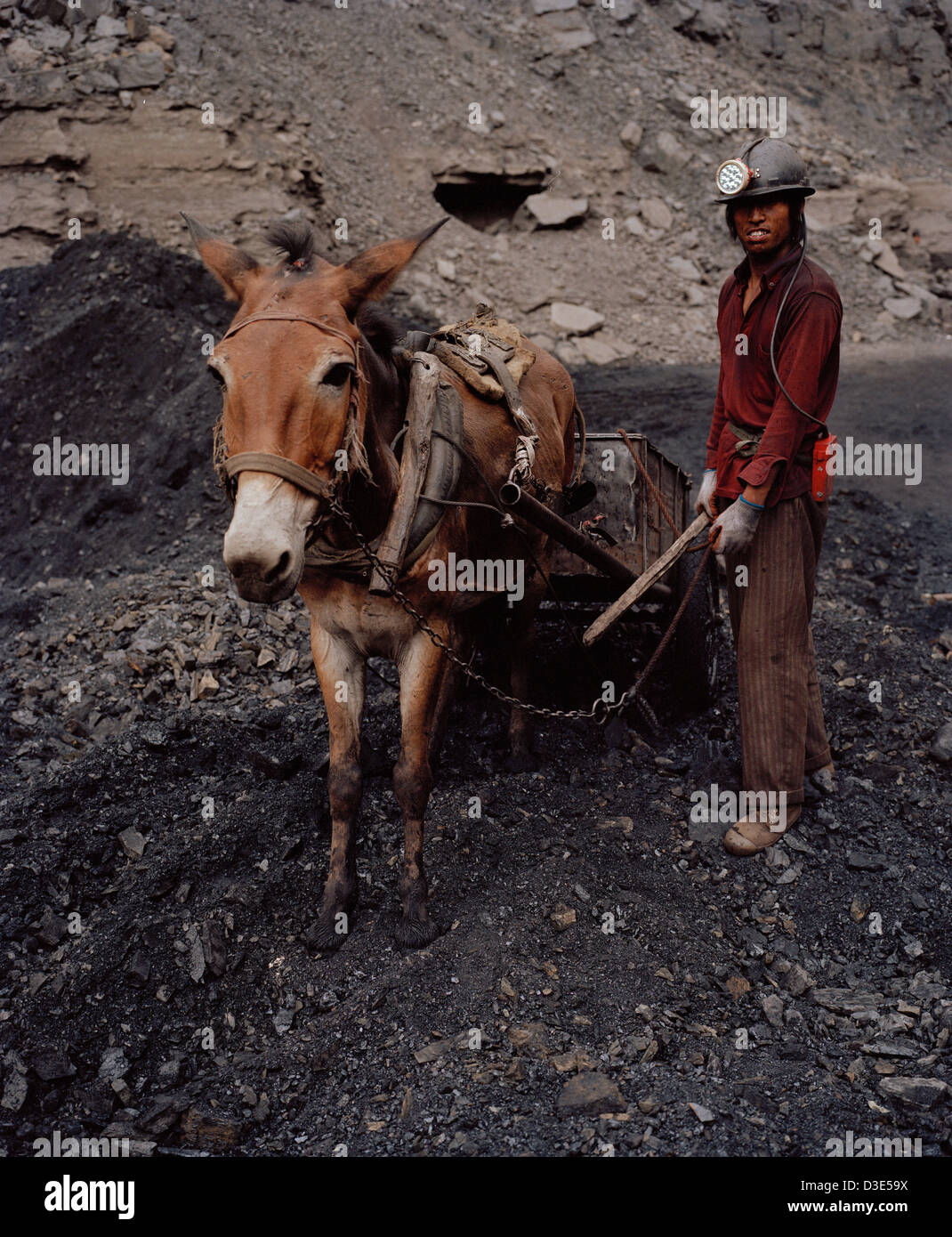WU HAI, Innere Mongolei, CHINA - AUGUST 2007: Bergleute bei einem illegalen Tagebau-Mine im Feld Wuda Kohle verwenden Esel Kohle aus den Tunneln zu schleppen Stockfoto