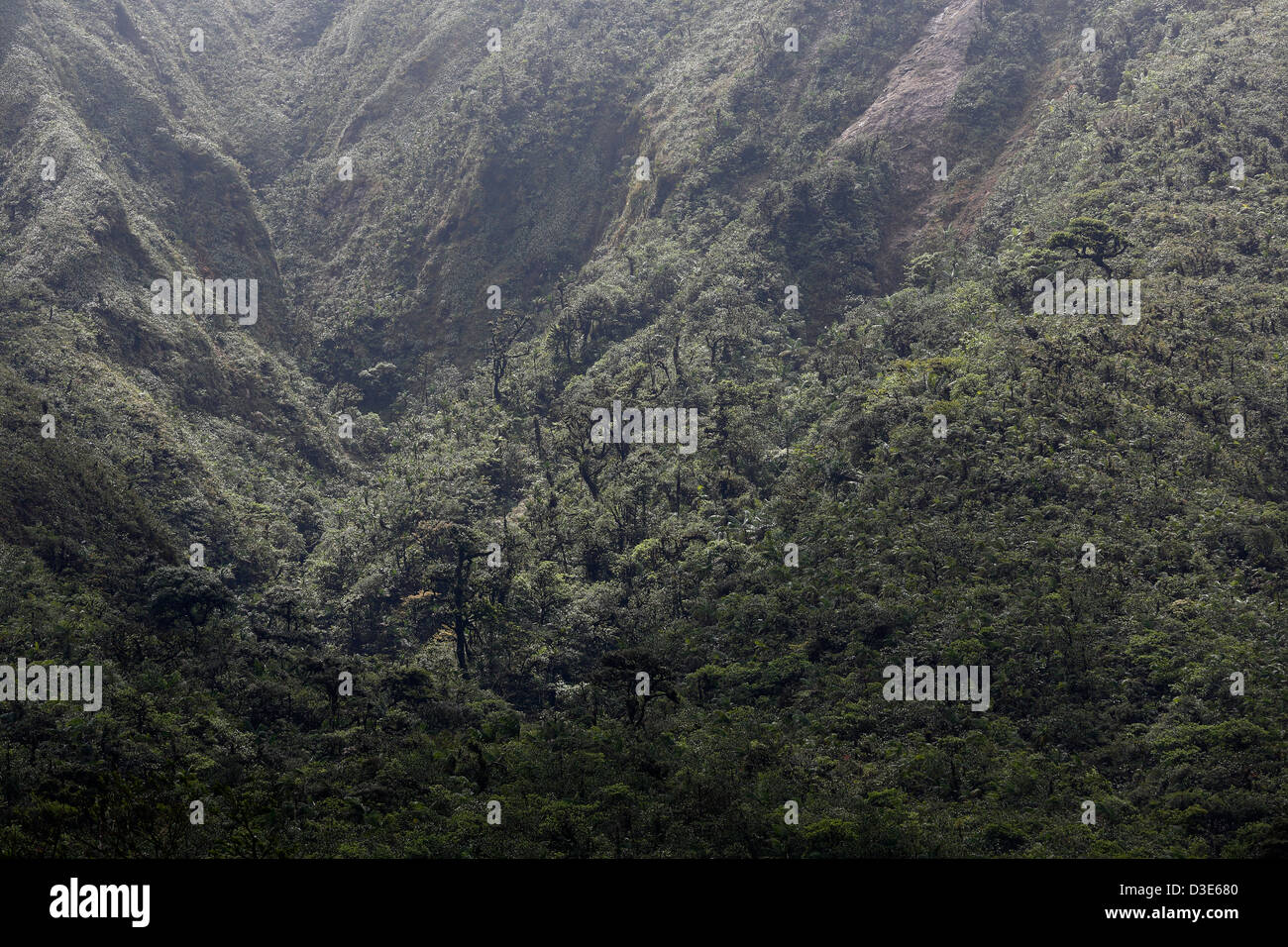 Bewaldete Bergrücken und Tal oberhalb der Stadt von El Valle, Panama Stockfoto
