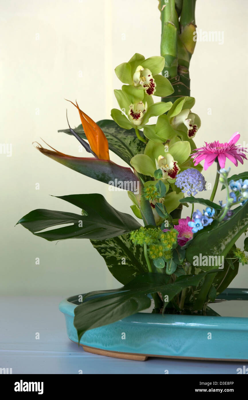 Ein modernes Ikebana-Blumenarrangement in Squat-türkisfarbenem Gericht mit Paradiesvogel und anderen Frühlingsblumen mit Grün in Tokio, Japan. Stockfoto