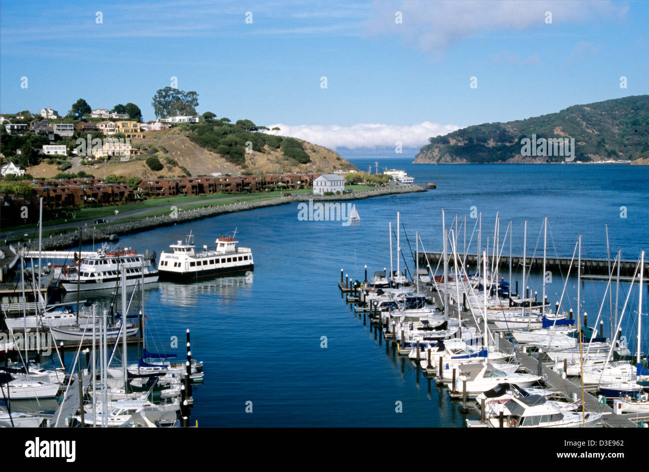 Genuss-Segelboote und Engel Insel und andere Fähren Anker in Tiburon Stockfoto