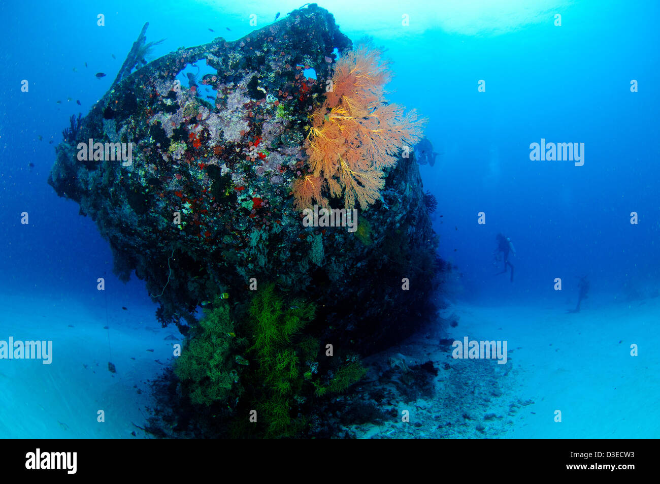 Die korallene verkrustete Heck des Wracks zu überqueren, eine japanische Achterbahn versenkt im 2. Weltkrieg. Manokwari, West-Papua, Indonesien. Stockfoto
