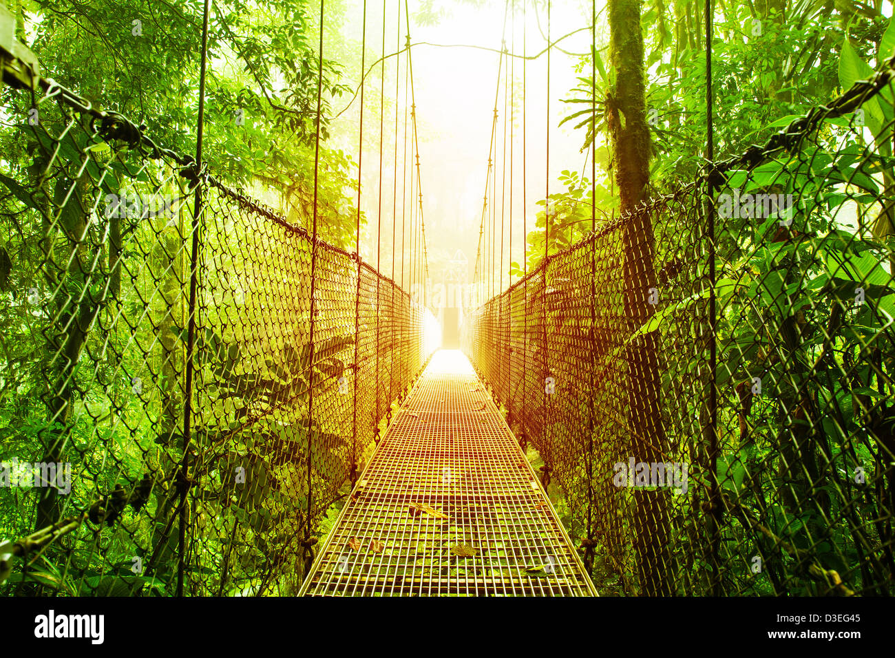 Bild von Arenal hängende Brücken Ecological Reserve, natürlichen Regenwald Park, La Fortuna de San Carlos Stadt, Costa Rica, Stockfoto