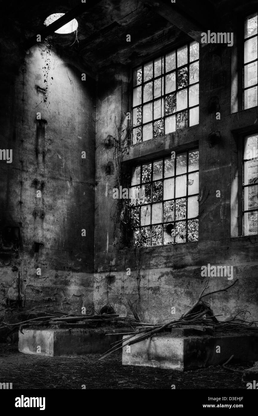 Verlassenen Fabrik. Windows Stockfoto