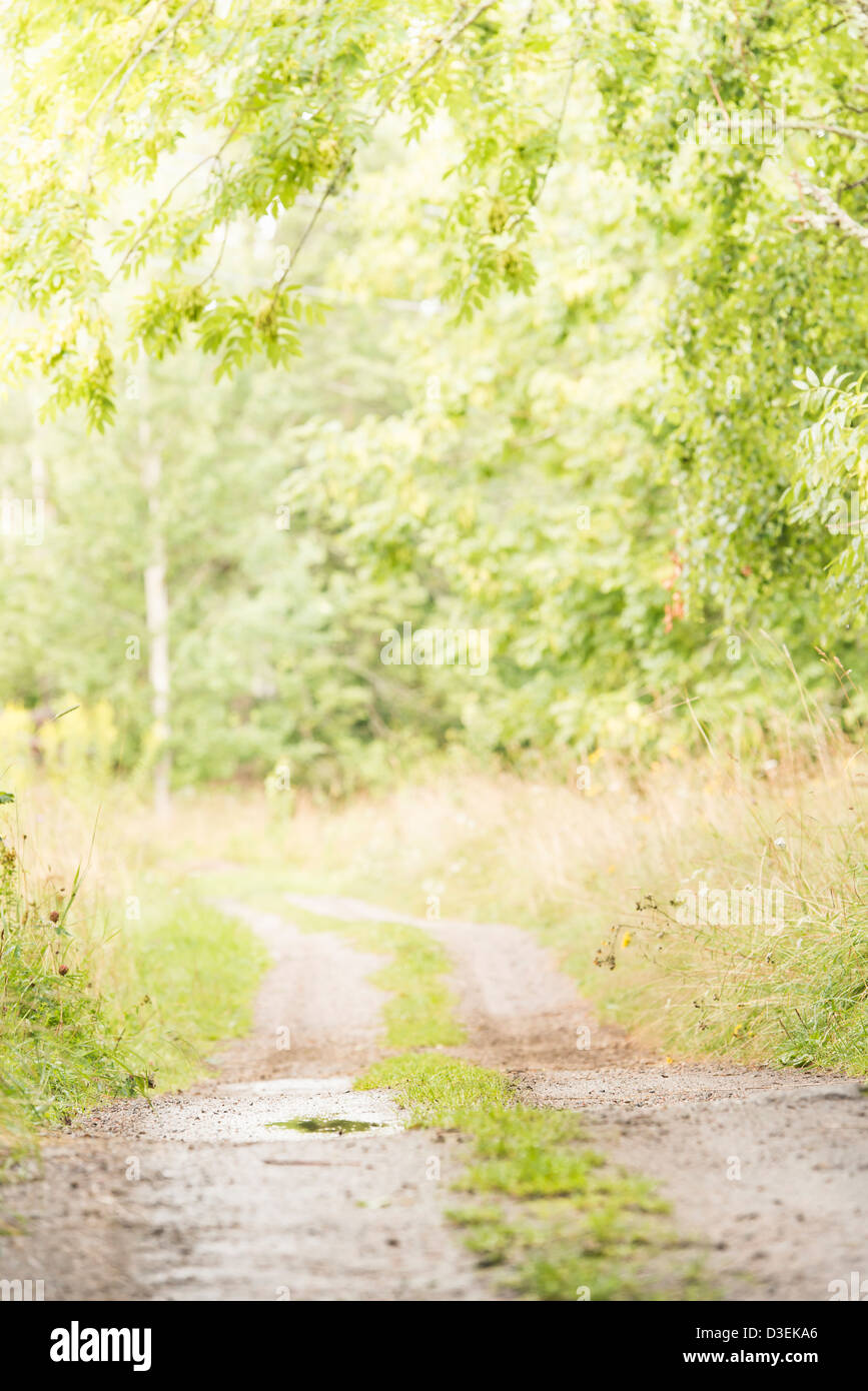 Leere Schotterstraße Verweilen durch ländliche Sommerlandschaft in Schweden Stockfoto