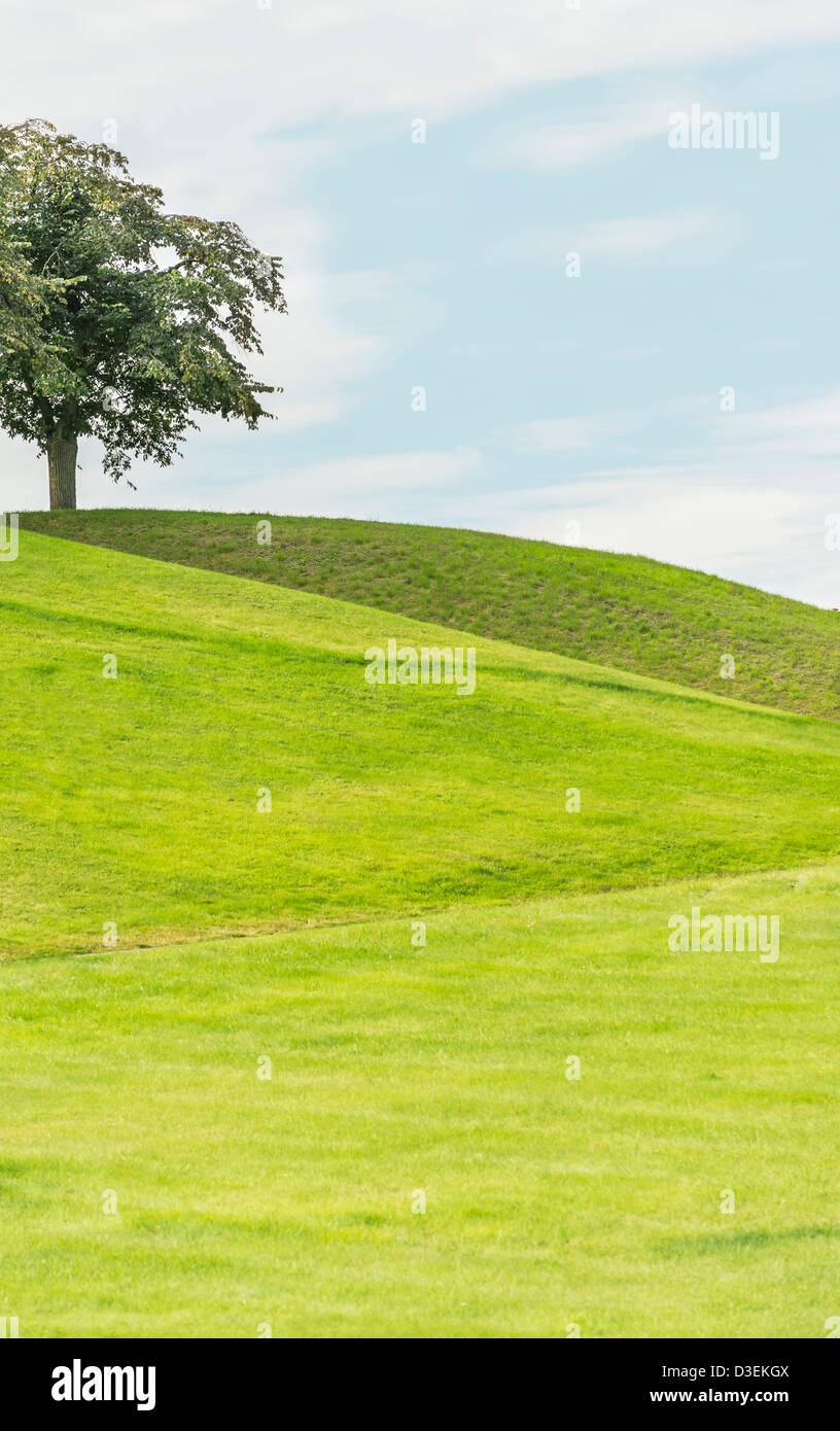 Leeren grünen Rasen bedeckten Hügel mit Baum in den oberen und blauen Himmel Stockfoto