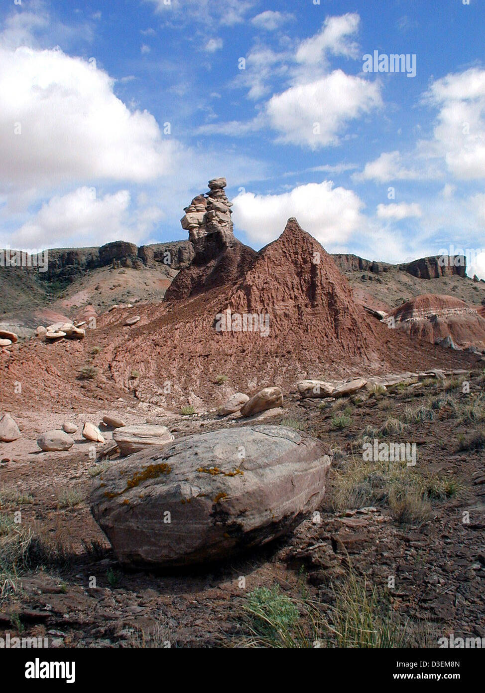 Differentielle Erosion, North Unit, Petrified Forest National Wilderness Area Stockfoto