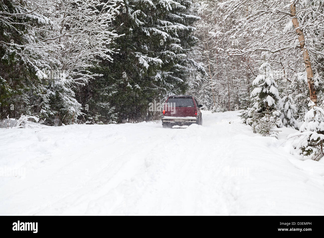 Offroad-Fahrten im Winter verschneiten Waldweg. Ansicht von hinten Stockfoto