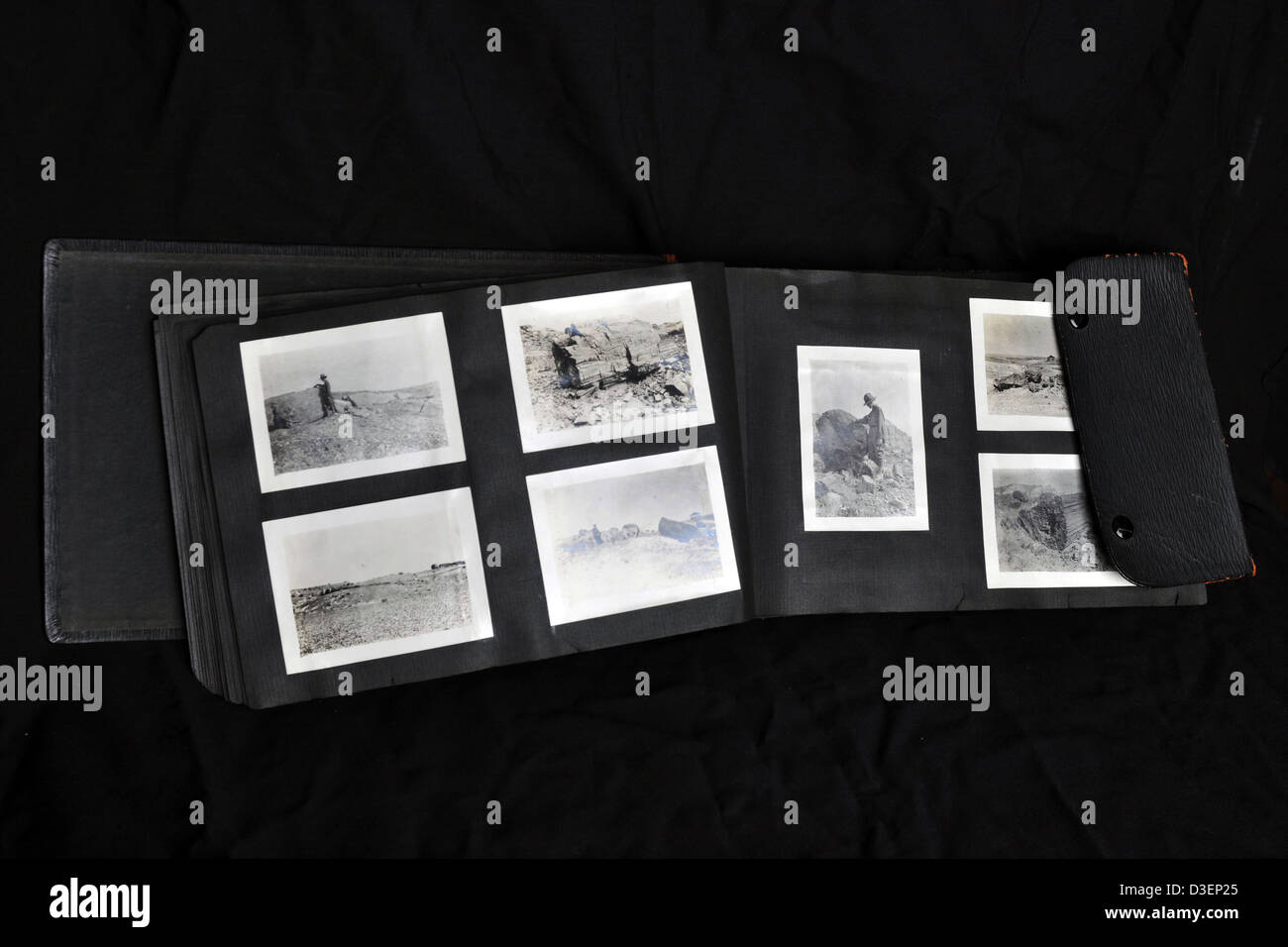 Dieses Fotoalbum zeigt den Petrified Forest National Park, einschließlich seiner Museumssammlung, biologischen Artefakten und Herbariumexemplaren. Der Park ist bekannt für seine erhaltenen fossilen Bäume und geologischen Merkmale, die vom National Park Service verwaltet werden. Stockfoto