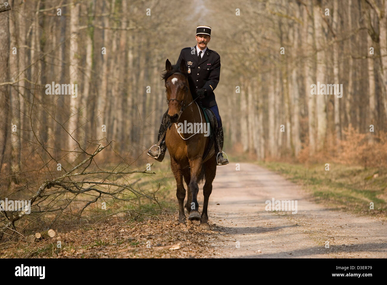 Pascal Pandelé, eines örtlichen Gendarmen (Militärpolizist), Fahrten mit der Jagd nach dem Windhund-pack Stockfoto