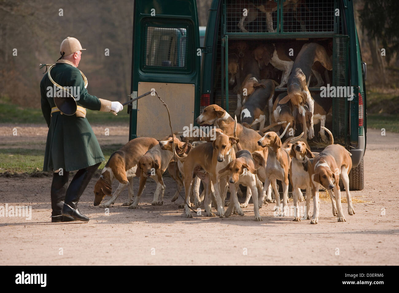 Rene "Babou" Kleboth, Gründer und Master der Vautrait de Banassat Wildschweinjagd ermutigt seinen Pointevin Hunden Stockfoto