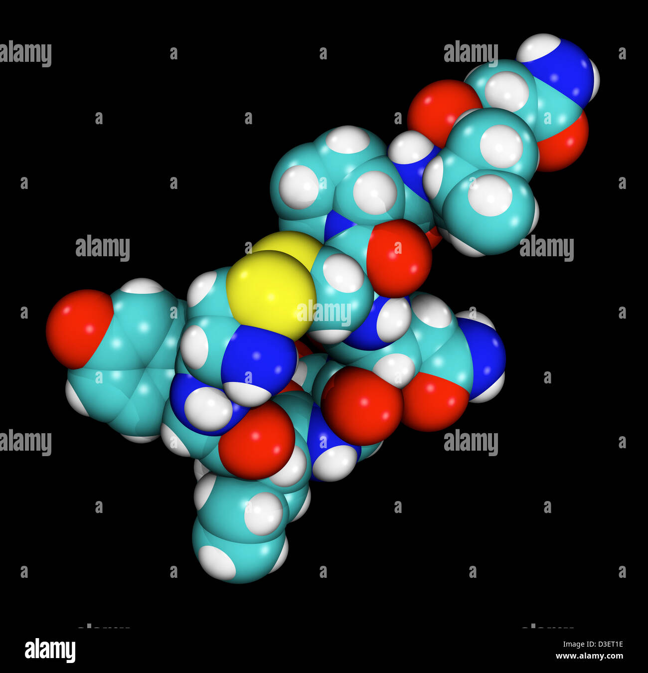 computergenerierte raumfüllende Modell des Oxytocin-Moleküls Stockfoto