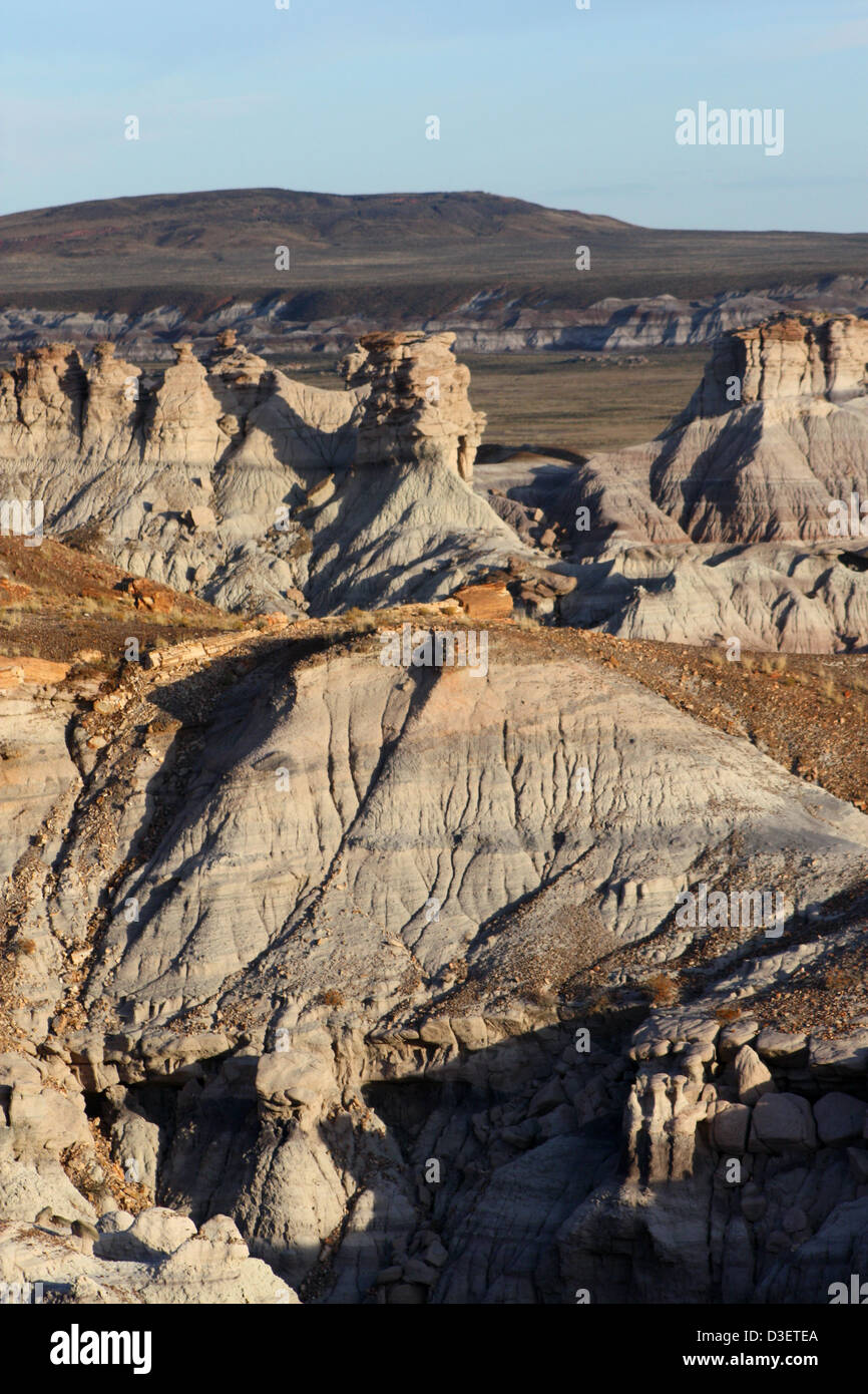 Blue Mesa, Teil des Petrified Forest National Park, zeigt leuchtend blaue und violette Badlands und fossile Bäume aus der späten Trias. Der Park ist bekannt für seine geologischen Merkmale und prähistorische Bedeutung, verwaltet vom National Park Service für wissenschaftliche Forschung und öffentliche Bildung. Stockfoto
