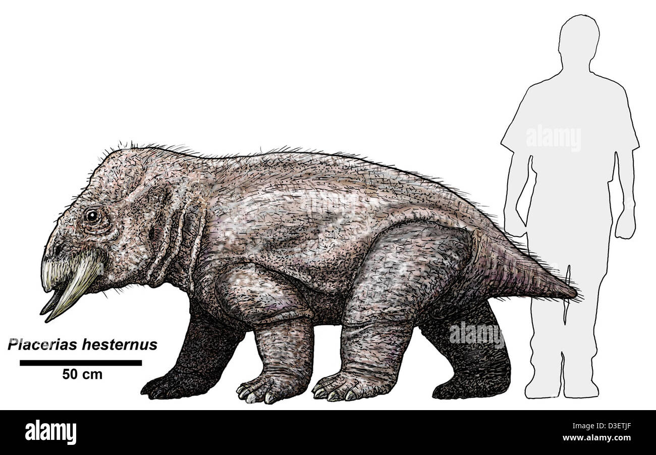 Placerias hesternus, ein ausgestorbenes Reptil aus der Triaszeit, ist Teil der Fossilien im Petrified Forest National Park. Diese Art bietet Einblicke in die frühe Evolution von Wirbeltieren und die prähistorischen Ökosysteme Nordamerikas. Stockfoto
