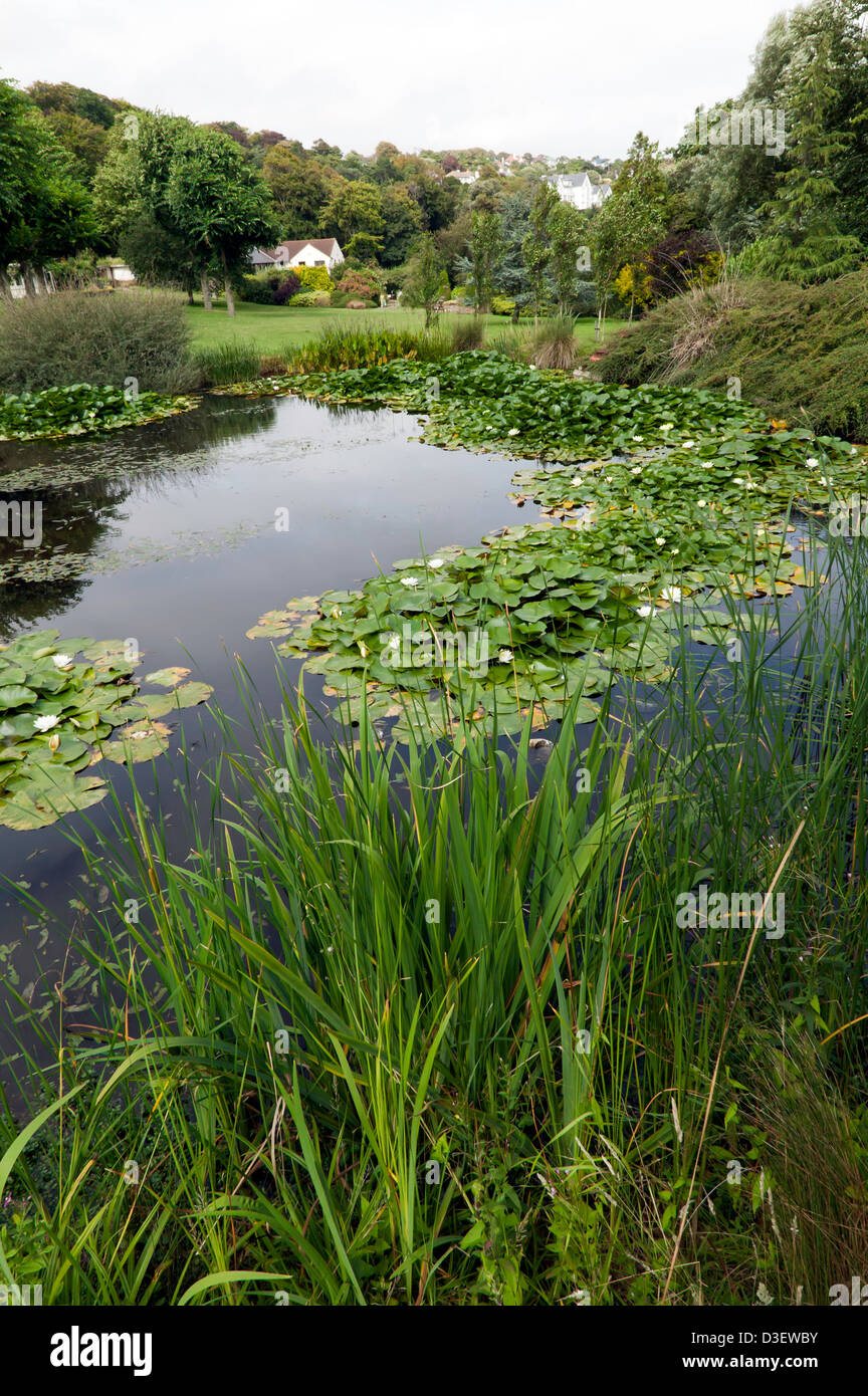 Lilly Teich in The Pines Garden, St. Margret Bay, Kent. Stockfoto