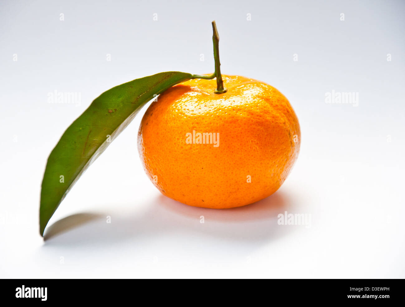 orange Frucht auf weißem Hintergrund Stockfoto