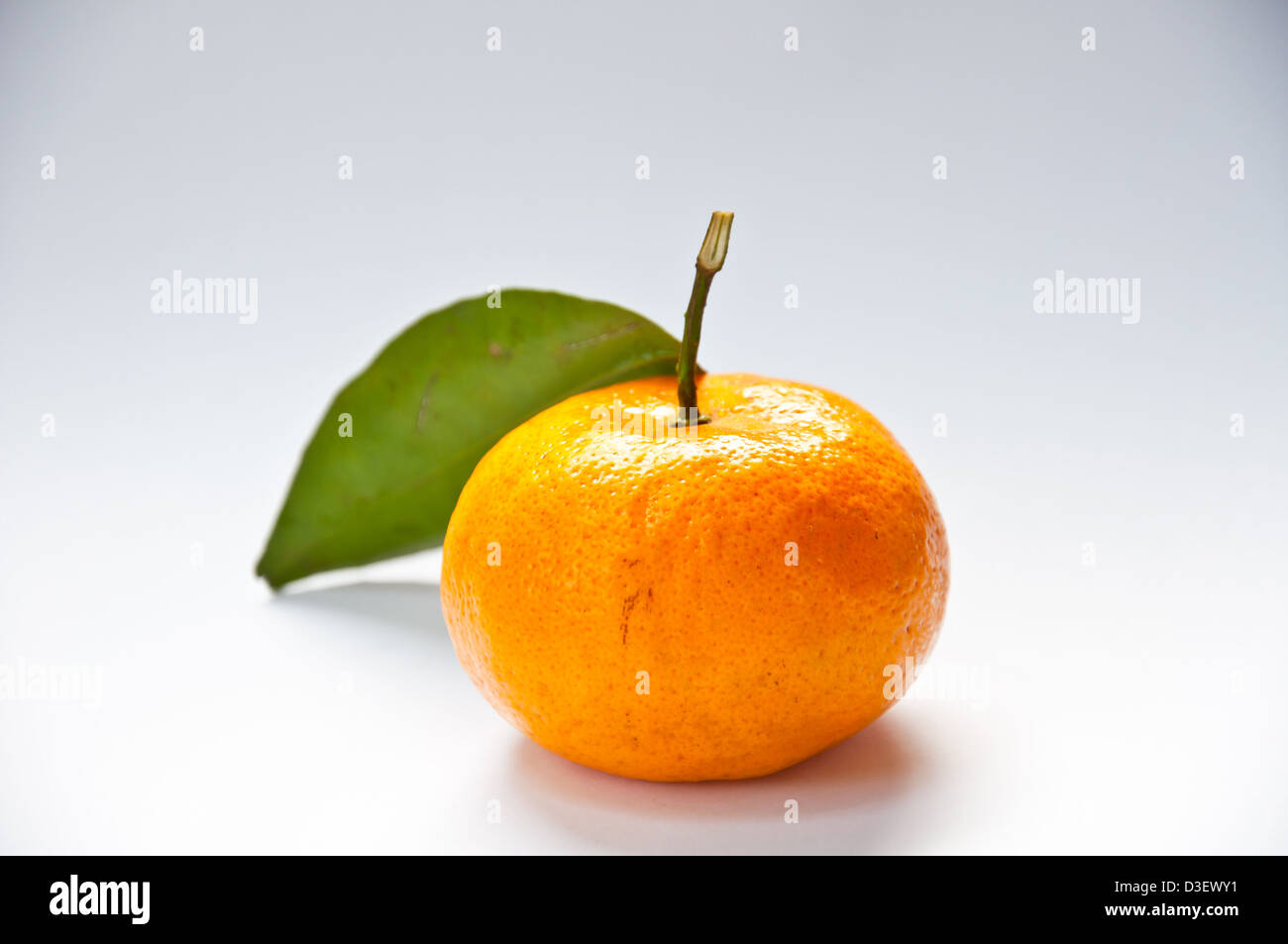 orange Frucht auf weißem Hintergrund Stockfoto