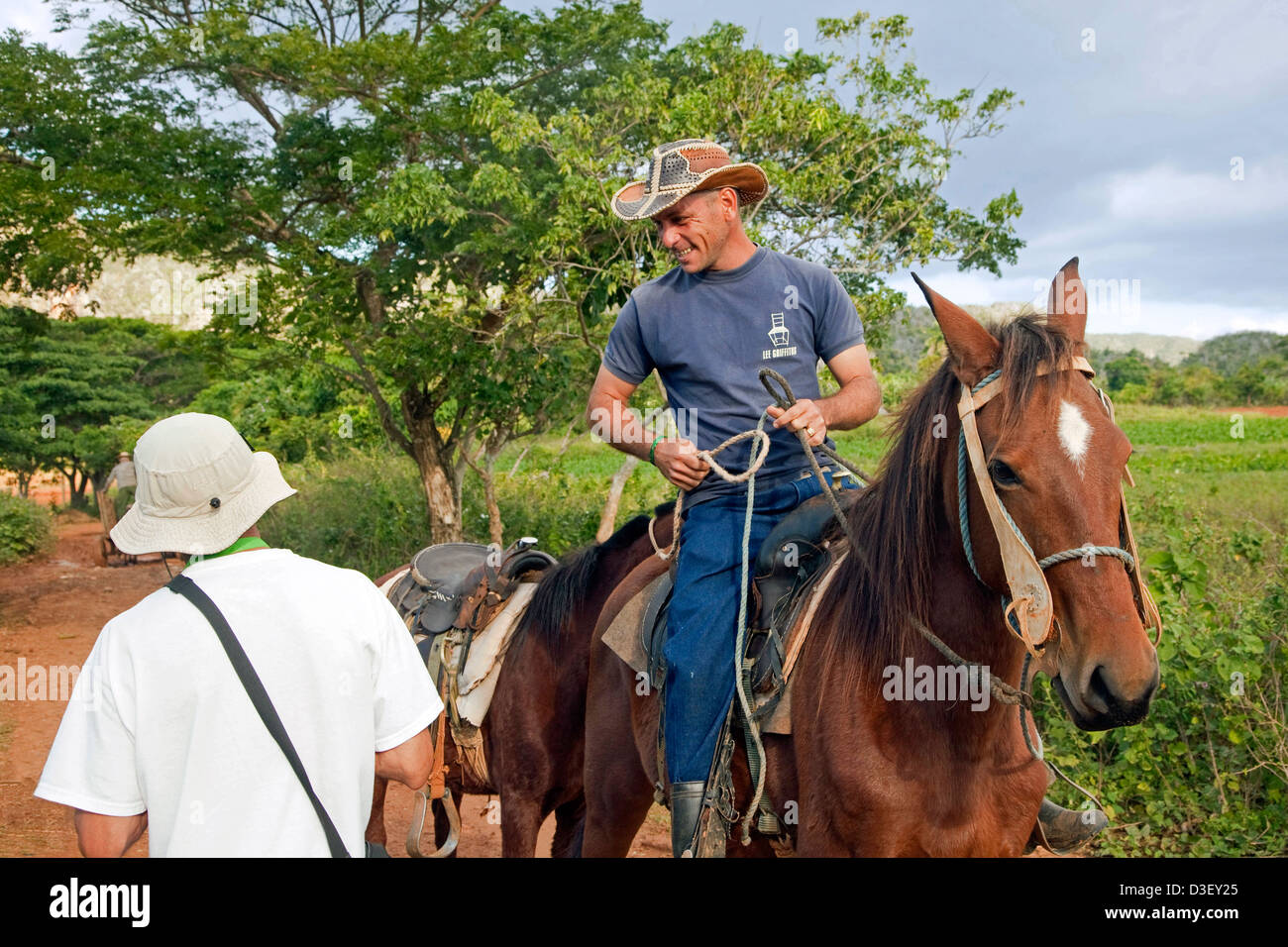 Kubanische Gaucho / Guajiro auf dem Pferderücken in Viñales-Tal / Valle de Viñales, Sierra de Los Organos, Pinar del Río, Kuba Stockfoto