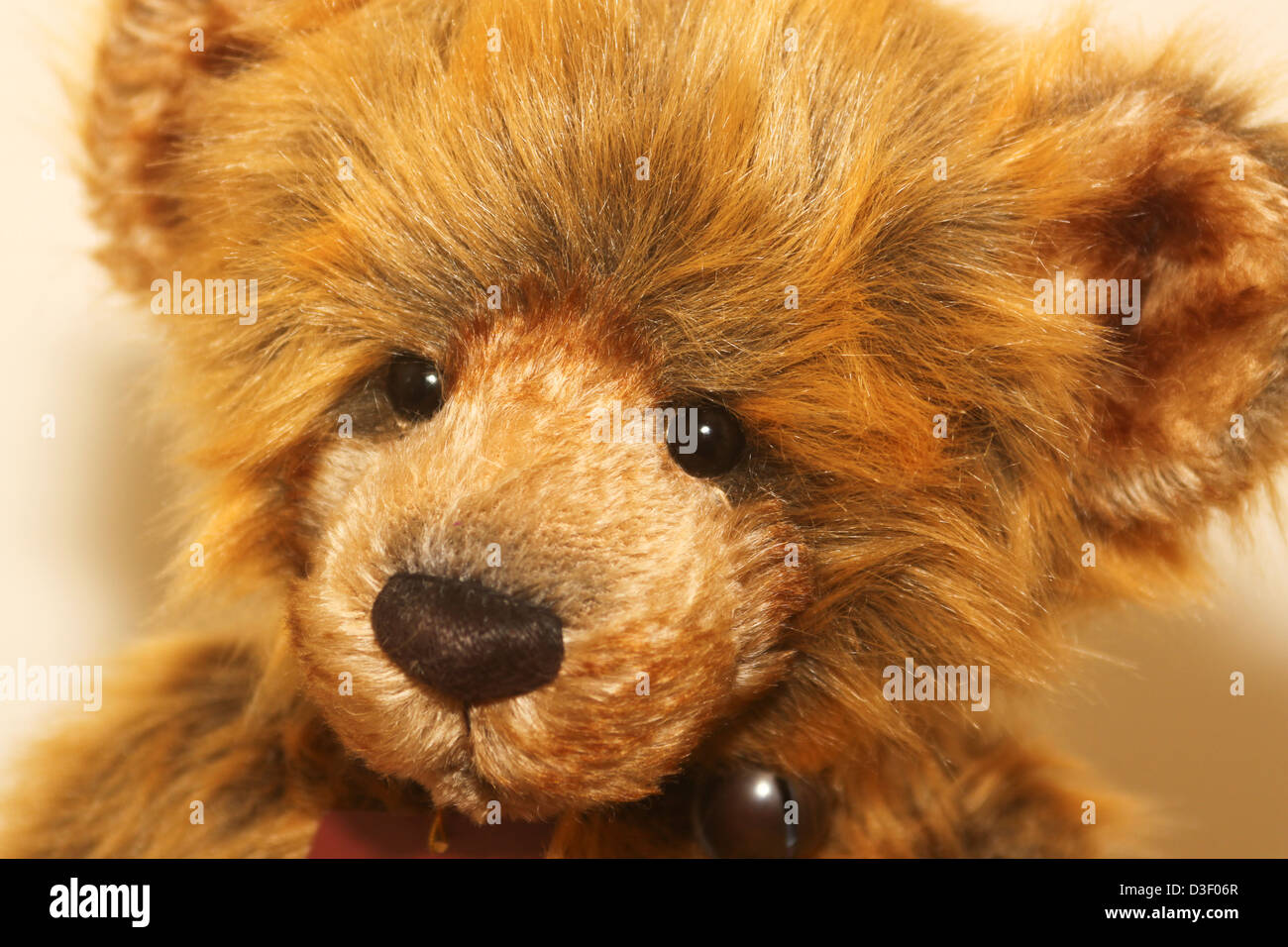 Nahaufnahme von Karamell farbigen Teddybär Gesicht Stockfoto