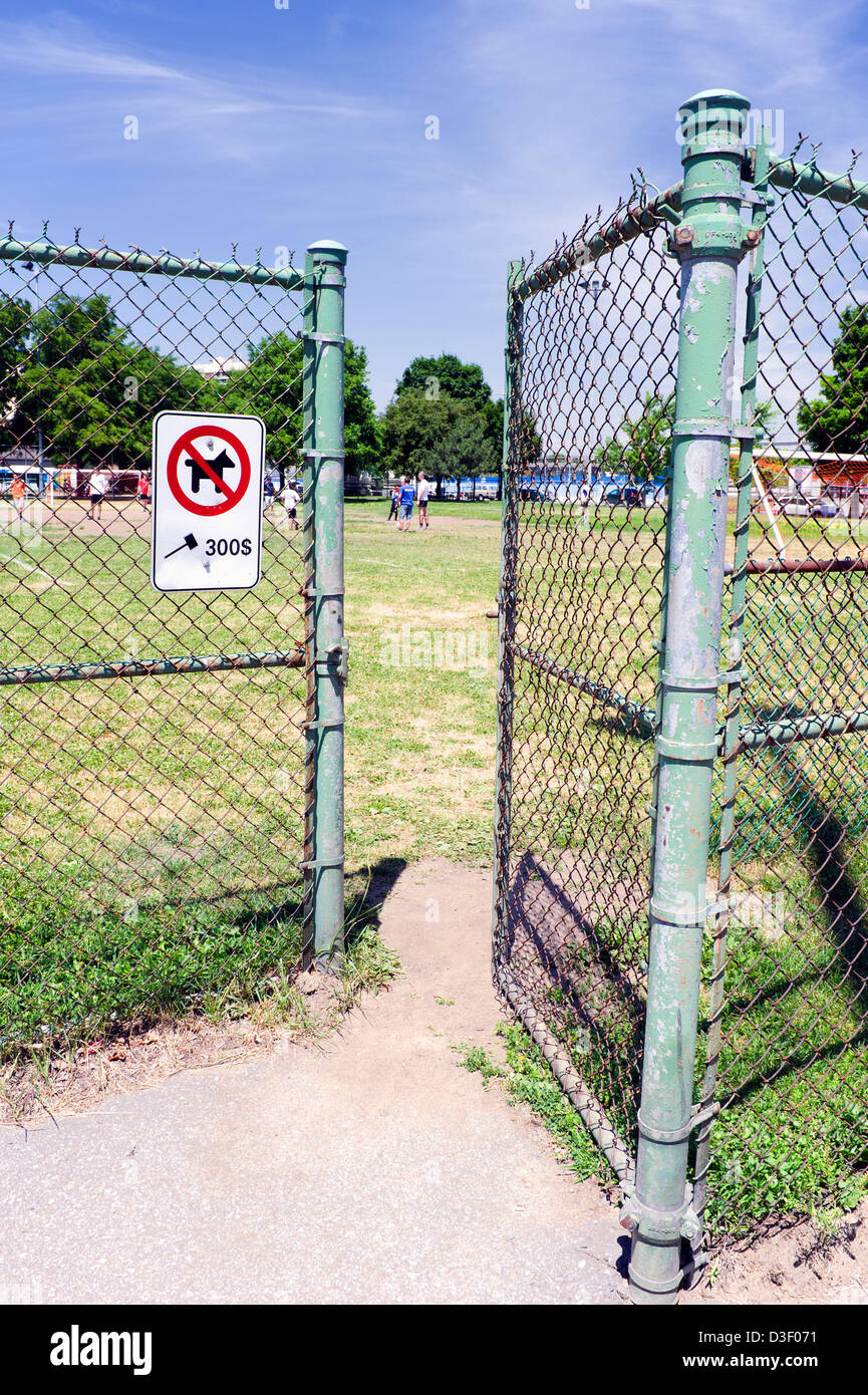 "Hunde sind nicht erlaubt" Schild an einem Park Zaun in Montreal, Provinz Quebec, Kanada. Stockfoto