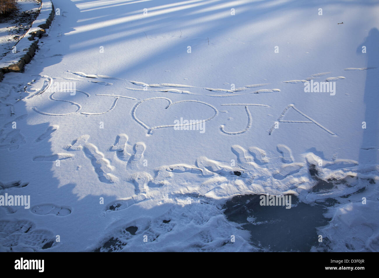 Deklarierende lieben im Schnee. Prospect Park, Brooklyn, NY. Stockfoto